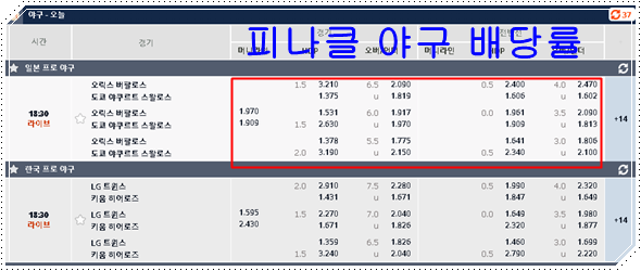 단폴더 배팅